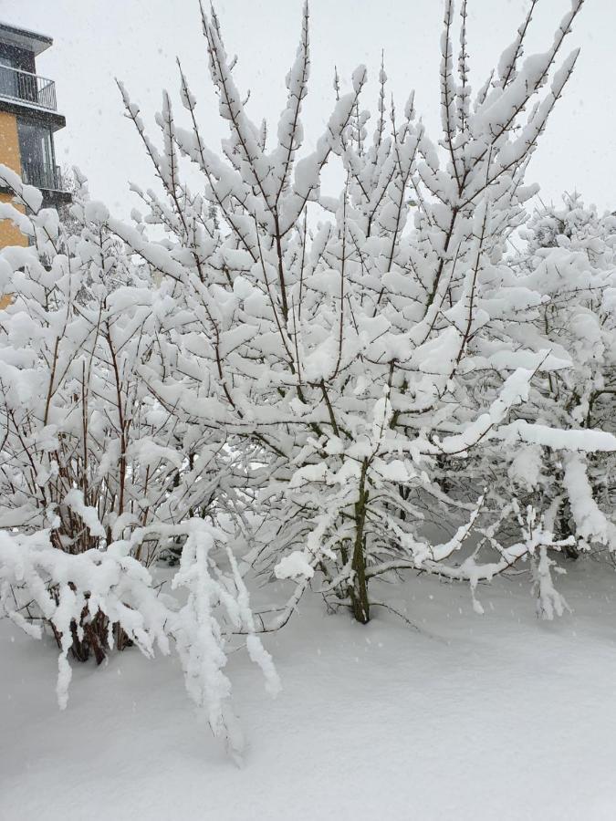 Wohnung Im Schwarzwald Mit Panorama Blick Kleines Wiesental Eksteriør bilde