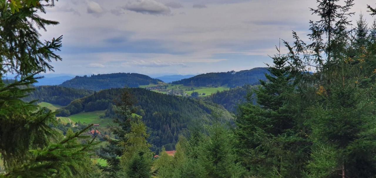Wohnung Im Schwarzwald Mit Panorama Blick Kleines Wiesental Eksteriør bilde