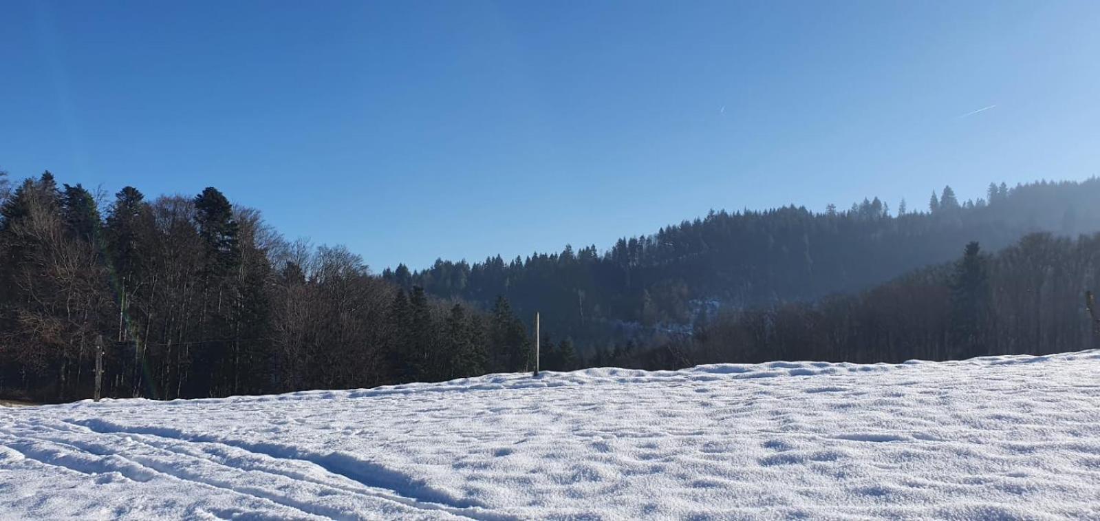 Wohnung Im Schwarzwald Mit Panorama Blick Kleines Wiesental Eksteriør bilde