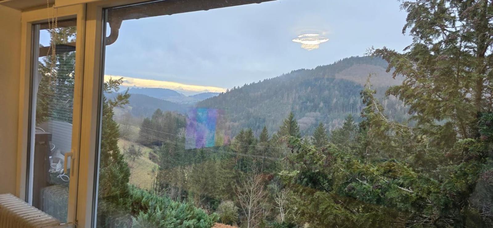 Wohnung Im Schwarzwald Mit Panorama Blick Kleines Wiesental Eksteriør bilde